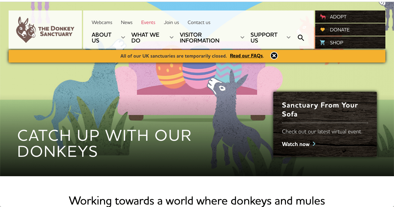 Donkey Sanctuary